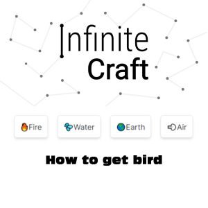 how to get bird